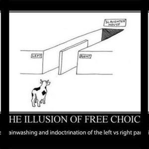 Meet your Posher, Greg